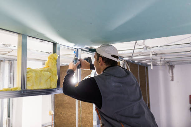 Best Insulation Installation Services in Bessemer City, NC